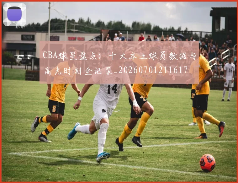 CBA球星盘点：十大本土球员数据与高光时刻全记录_20260701211617